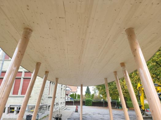 School Building Canopy, Goldach