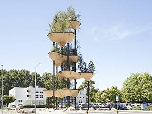 The hanging gardens of Zug