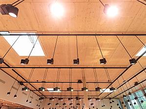 CLT-Platten auf den Holzstützen mit einem Raster von 7 x 7 Meter