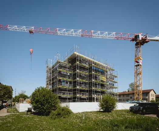 Mehrfamilienhaus Luegisland, Schwamendingen